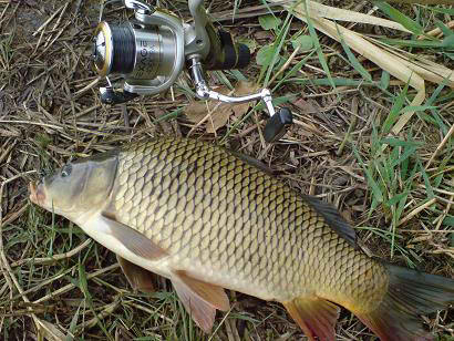 Ловля судака - russian-fishing.net